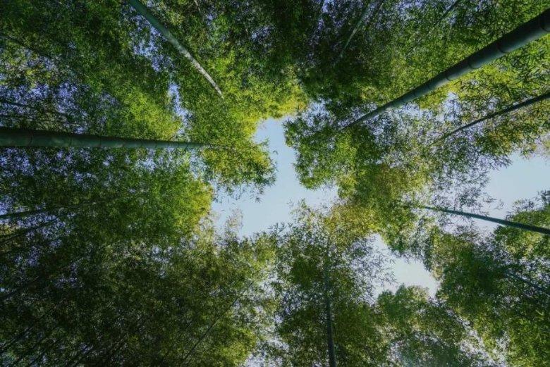 南昌地铁安检升级,有乘客称等了50分钟还没安检,地铁方回应:目前地铁的安检程序已恢复如常