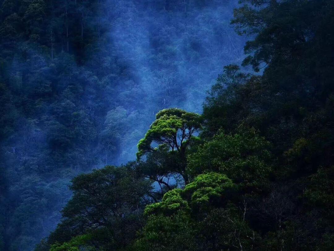 与父母情感代沟大怎么办？游戏画面