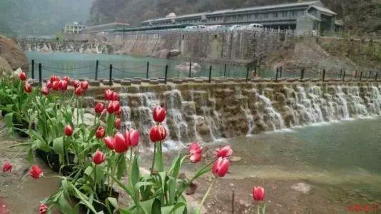格斗战机