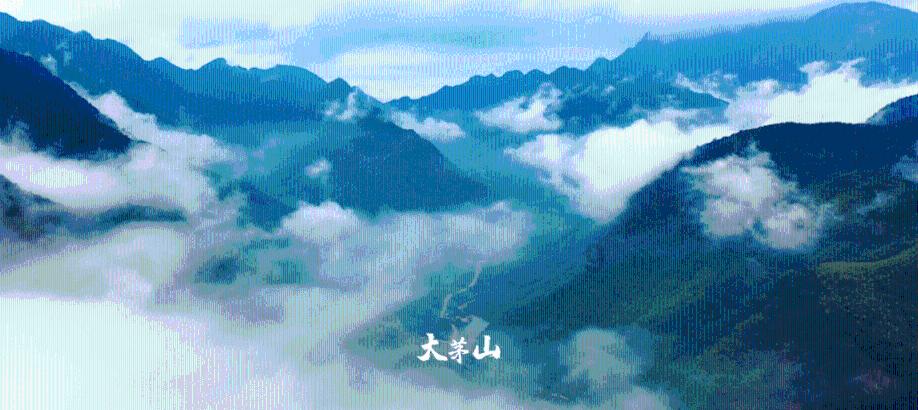 统筹谋划“五个中心”,更好担当使命责任