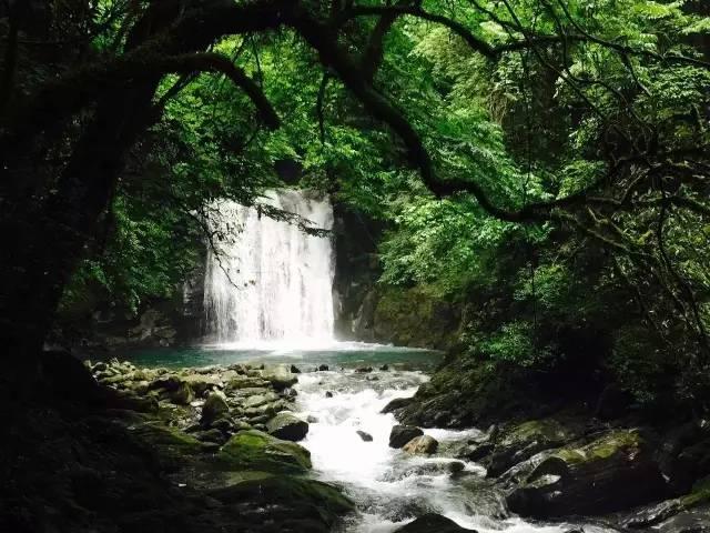悬崖小屋逃生