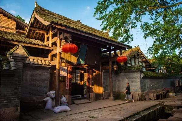 逃出绿色公寓
