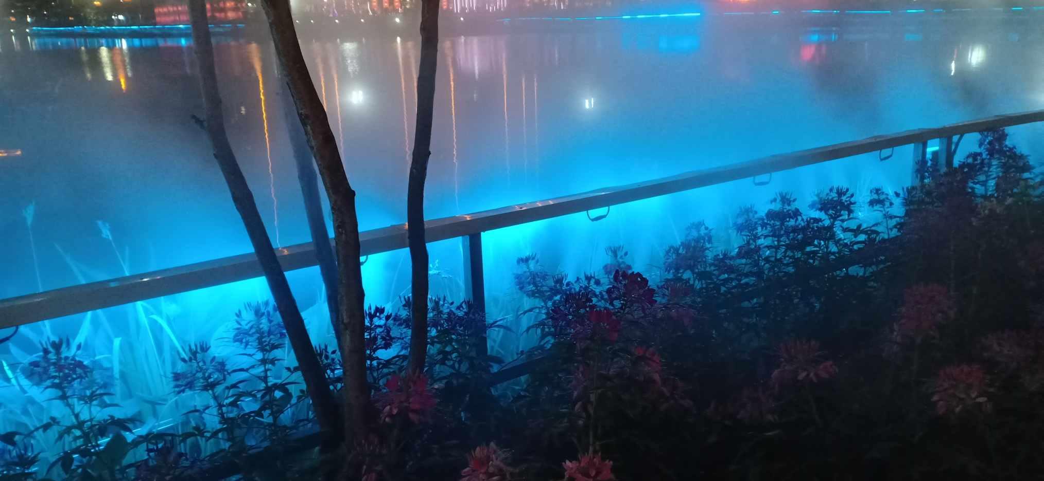 《魔兽世界》2024龙年坐骑介绍